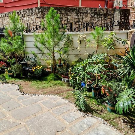 Wasabi House - Homestay Ben Cho Dalat Exteriér fotografie