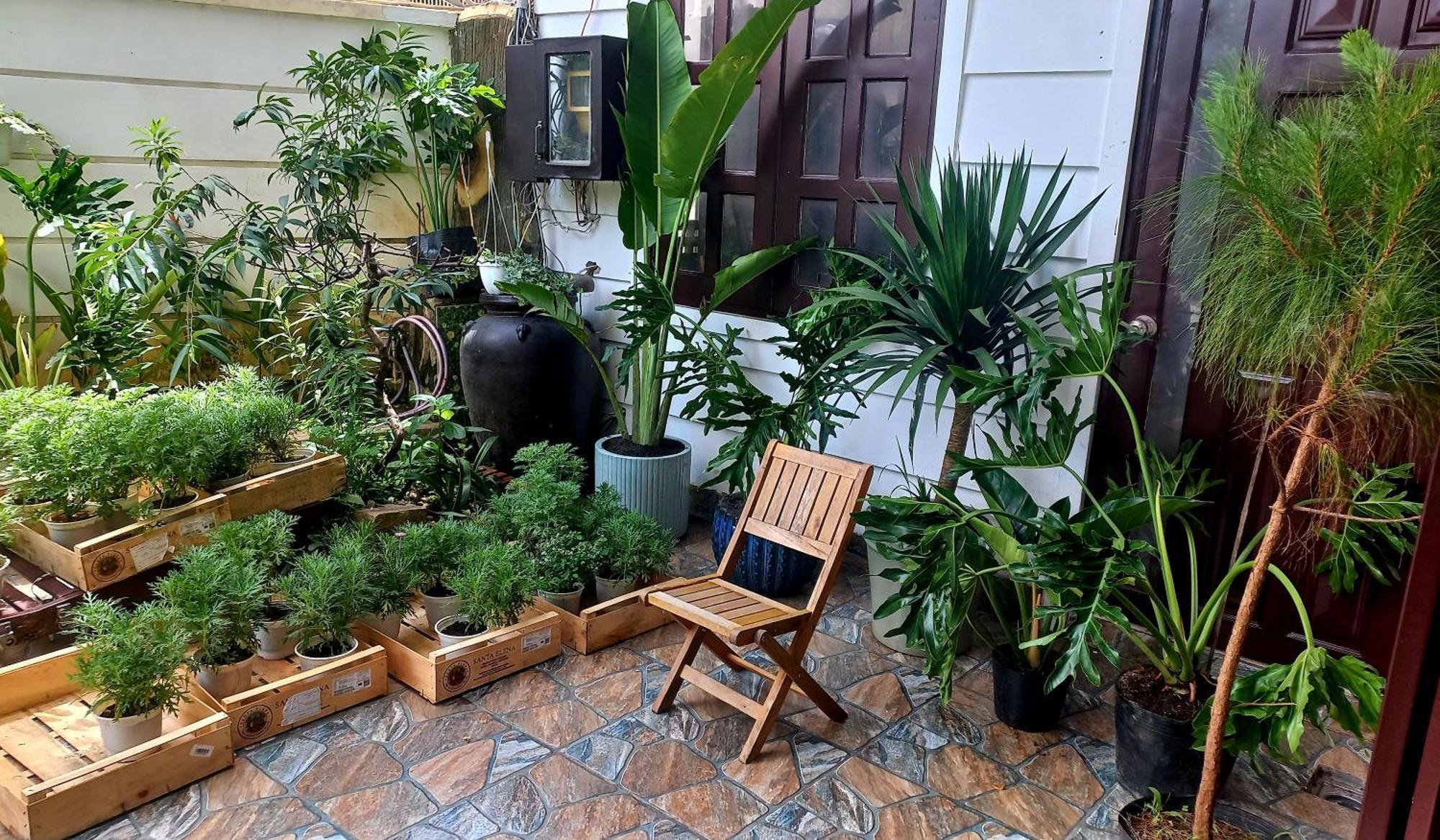 Wasabi House - Homestay Ben Cho Dalat Exteriér fotografie