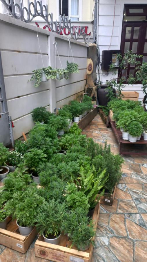 Wasabi House - Homestay Ben Cho Dalat Exteriér fotografie