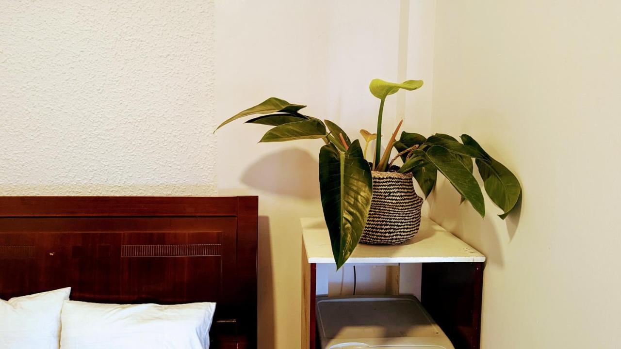 Wasabi House - Homestay Ben Cho Dalat Exteriér fotografie
