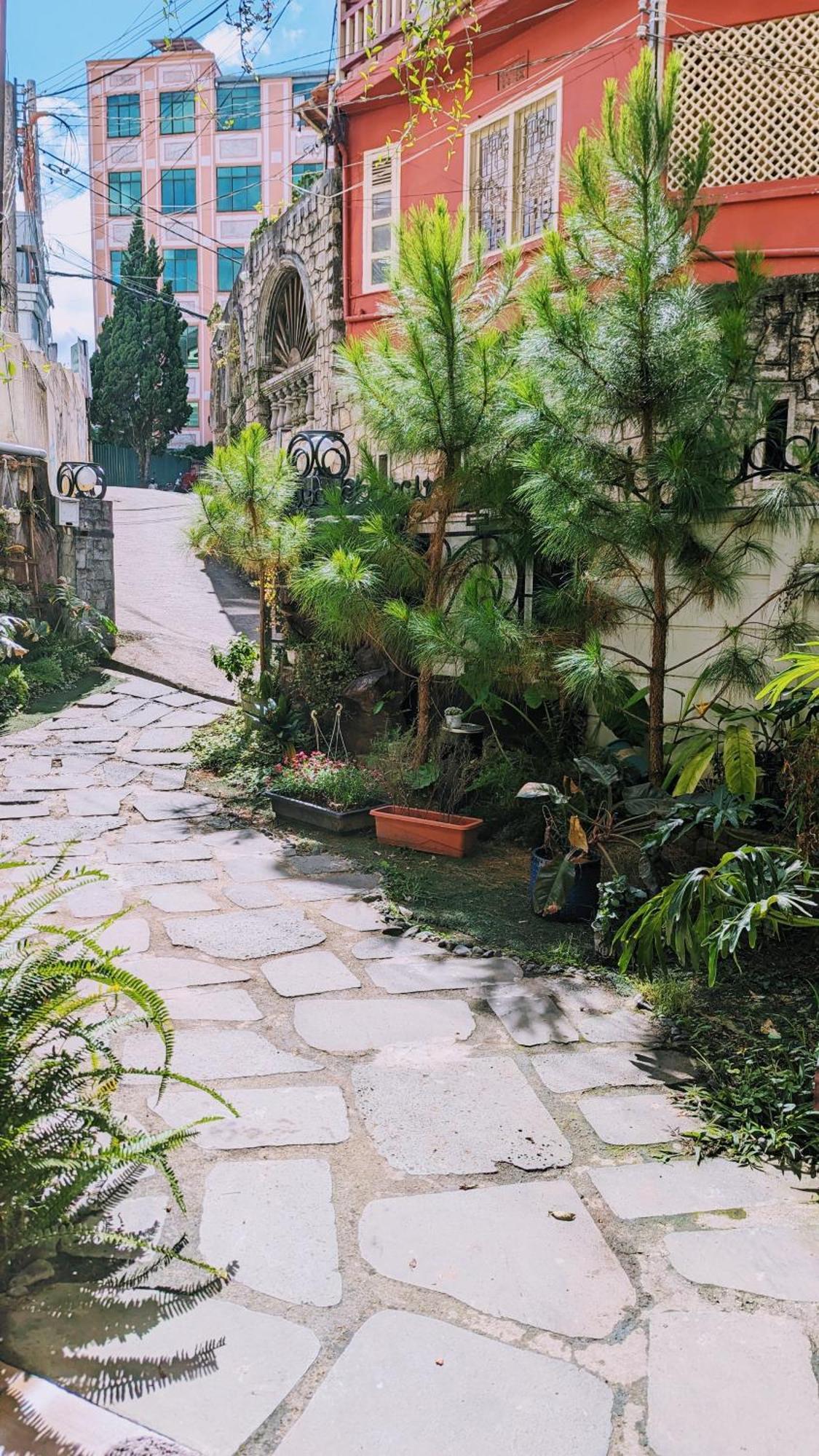 Wasabi House - Homestay Ben Cho Dalat Exteriér fotografie